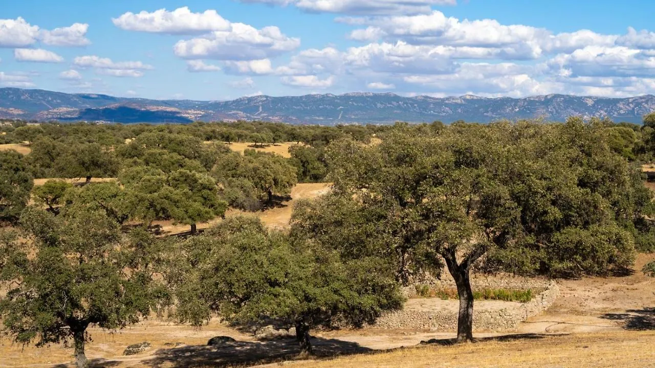 Сasa de vacaciones Casa Rural Obejuelo Torrecampo By Ruralidays Conquista España